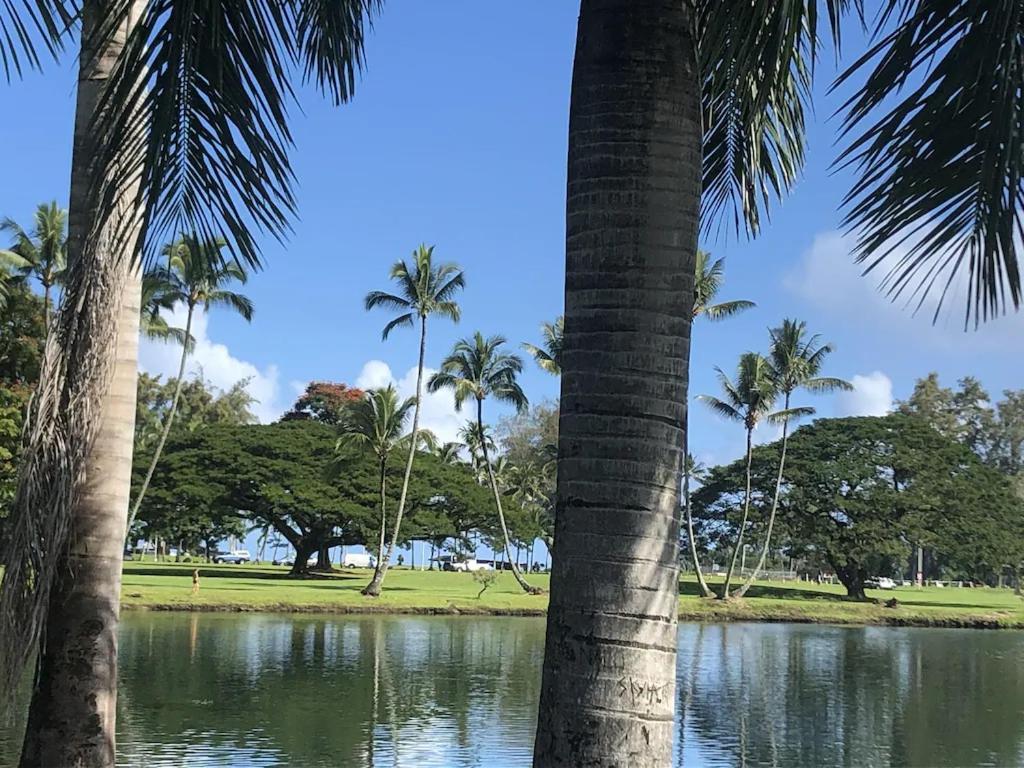 Stunning Views Best Location In Hilo 2Br Modern Condo Eksteriør billede