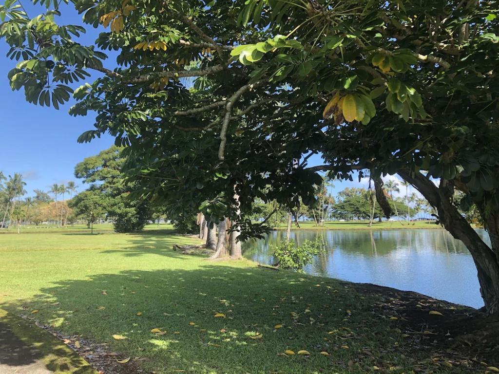 Stunning Views Best Location In Hilo 2Br Modern Condo Eksteriør billede